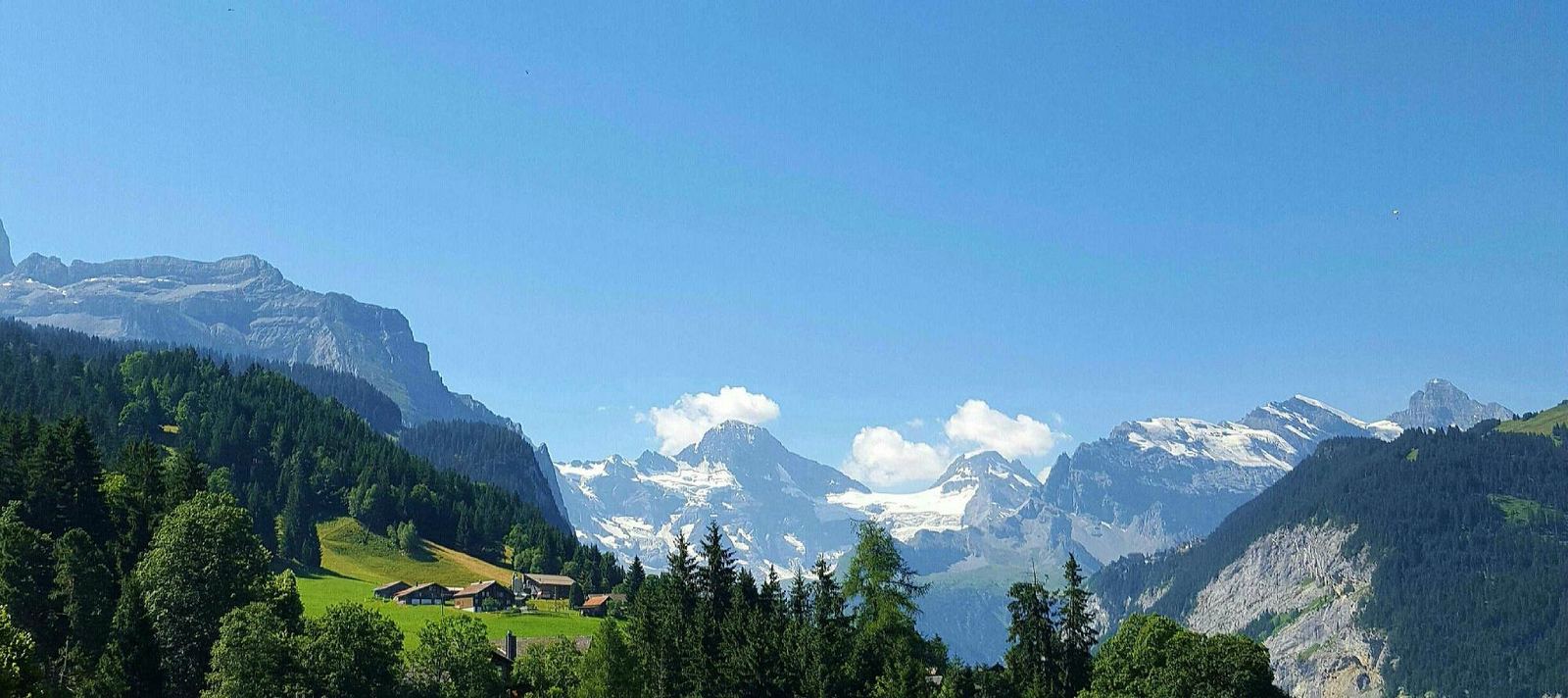 Guest photo: snow-covered peaks above Wengen